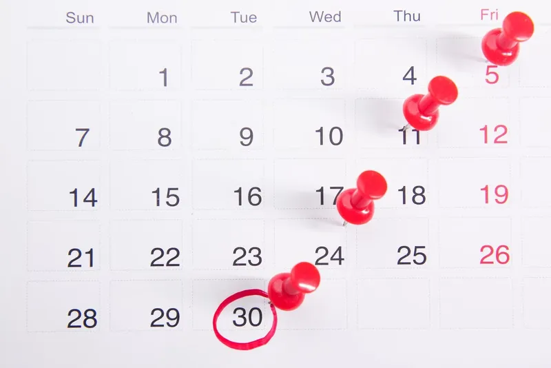 Wall calendar with red pins marking dates