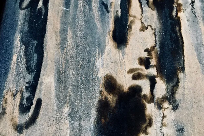 Black mould stains spreading across a wall