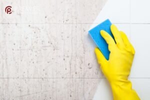 what is commercial cleaning