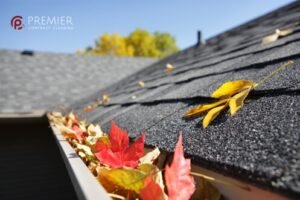 how much to clean gutters ireland​