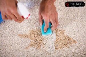 is professional carpet cleaning worth it