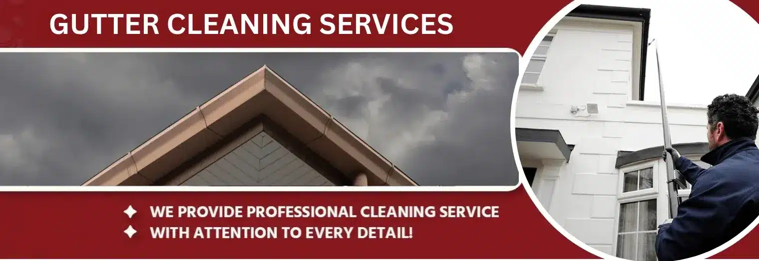 GUTTER CLANING SERVICES