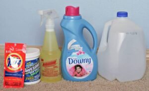 What Can You Use to Clean a Carpet​