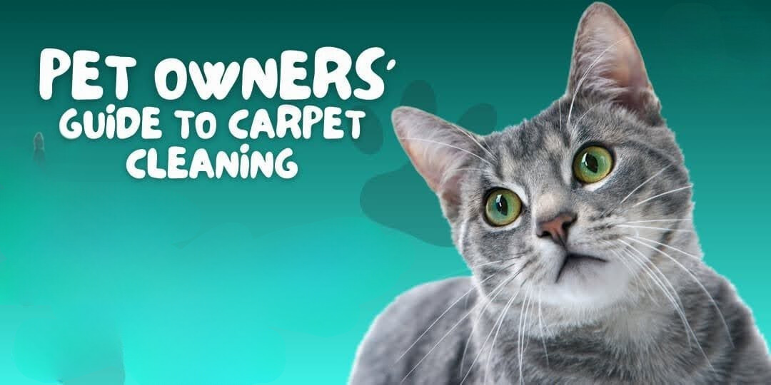 Will professional carpet cleaning remove pet odors?