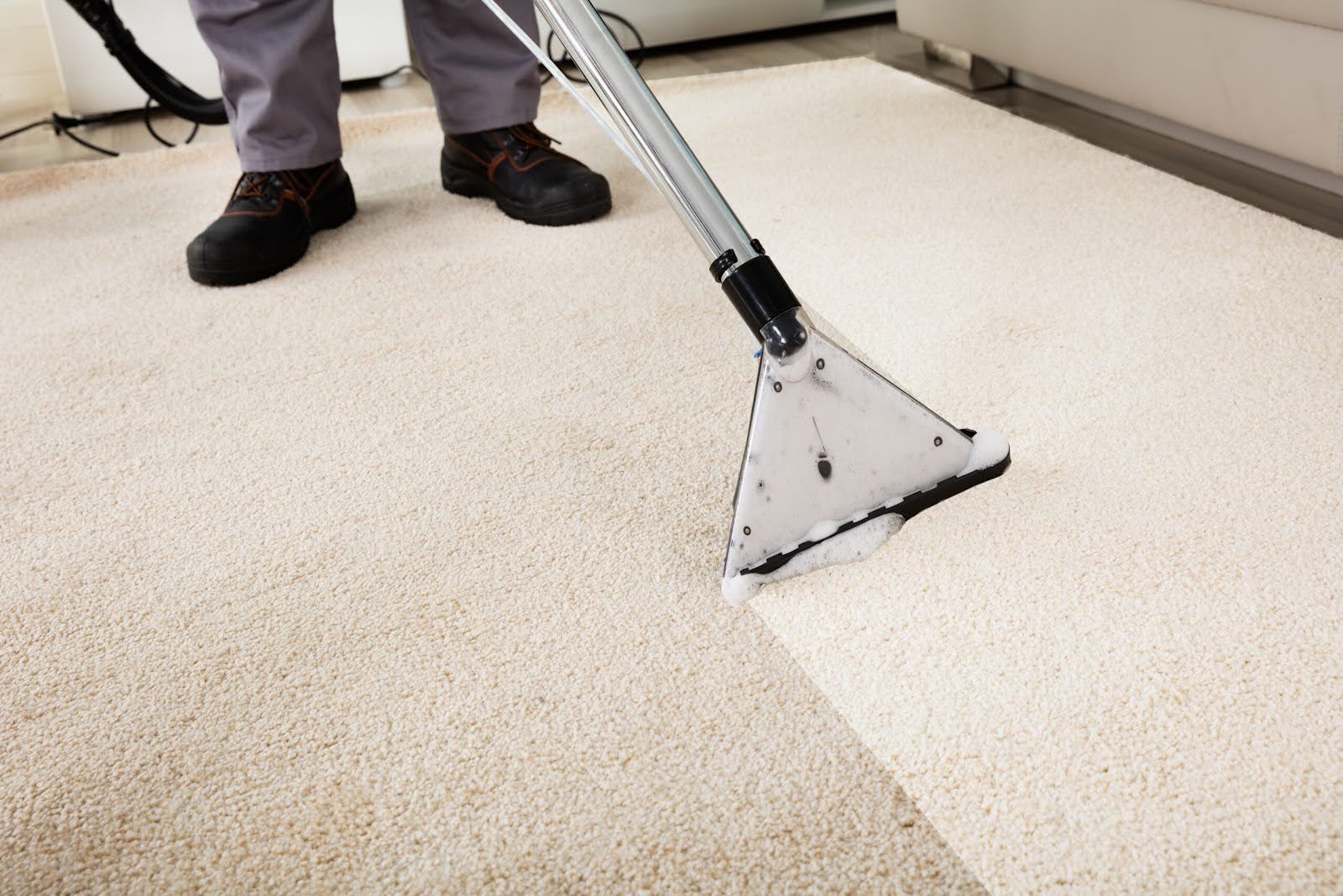 how to deep clean carpet