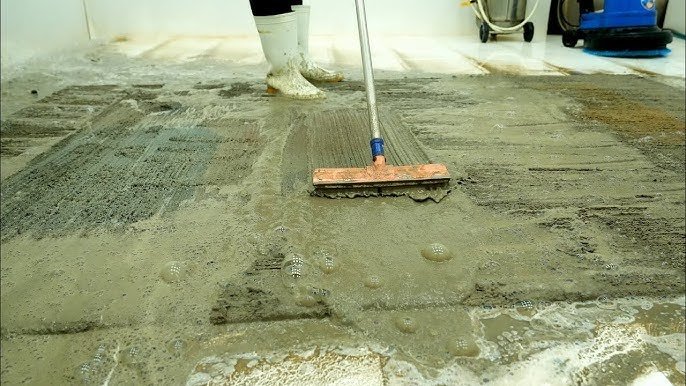 How to Deep Clean Carpet