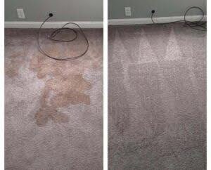 Will professional carpet cleaning remove pet odors