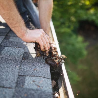 istockphoto-2149039897-612x612 A Caucasian man’s hands scoop out fallen leaves and pine needles from the rain gutters of his house in the Pacific Northwest.